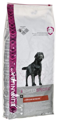 Karma EUKANUBA Breeds Nutrition Labrador Retriever Adult (12 kg )