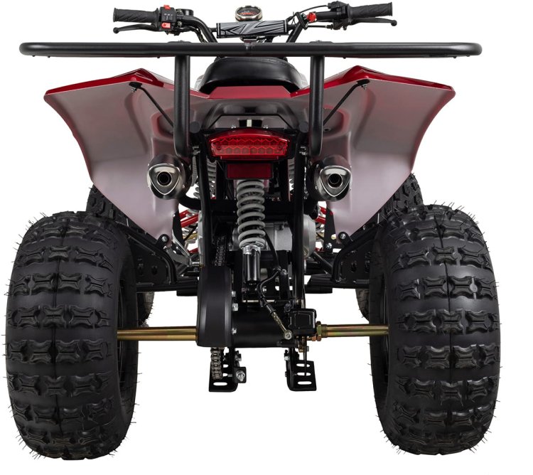 03-kinderquad-schwarz-metallic-rot-actionbikes-motors-s-10-125-cc-hinten.jpg