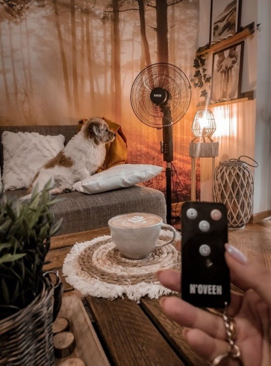 Wentylator stojący 16”/40cm NOVEEN F455 pilot 55W