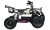 Actionbikes_Miniquad_Torino_1000_Gruen_Polo_5052303032353635332D3032_DSC07428_OL_1620x1080.jpg