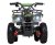 Actionbikes_Miniquad_Torino_1000_Gruen_Polo_5052303032353635332D3032_DSC07430_OL_1620x1080.jpg