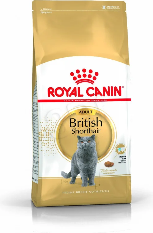 Royal Canin FBN British Shorthair Adult - sucha karma dla kota dorosłego - 10kg