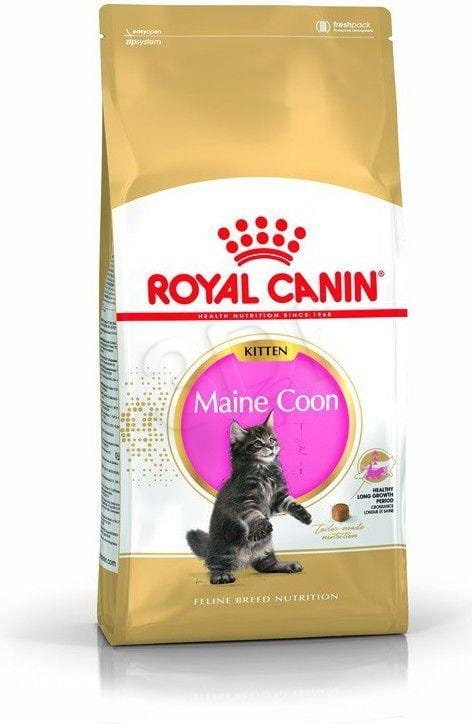 Karma Royal Canin FBN Kitten Maine Coon (4 kg )