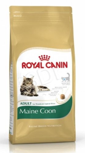 Royal Canin FBN Maine Coon Adult - sucha karma dla kota dorosłego - 10kg