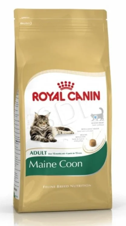 Royal Canin FBN Maine Coon Adult - sucha karma dla kota dorosłego - 10kg
