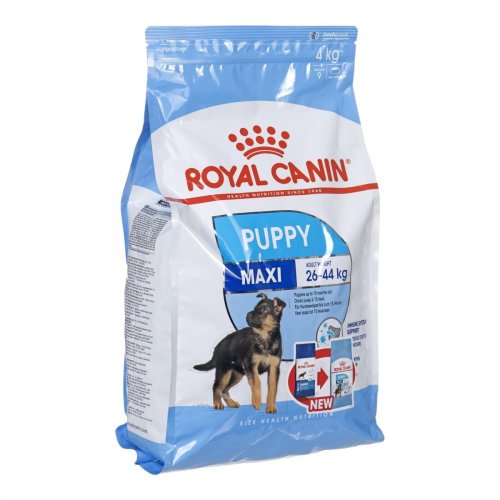 Royal Canin SHN Maxi Puppy - sucha karma dla szczeniąt - 4kg