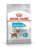 ROYAL CANIN Mini Urinary Care CCN - sucha karma dla psa - 3kg