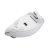 Mysz bezprzewodowa TRUST VERTO WIRELESS ERGO MOUSE WHT