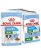 ROYAL CANIN SHN Mini Puppy w sosie - mokra karma dla szczeniąt - 12X85g