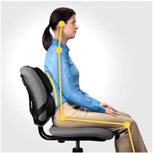 Fellowes Ergonomia  podpórka poduszka profesjonalna pod plecy