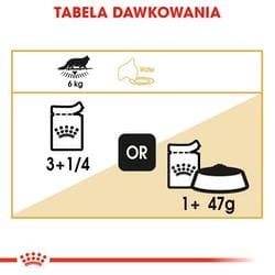 ROYAL CANIN Maine Coon - saszetka 12x85g