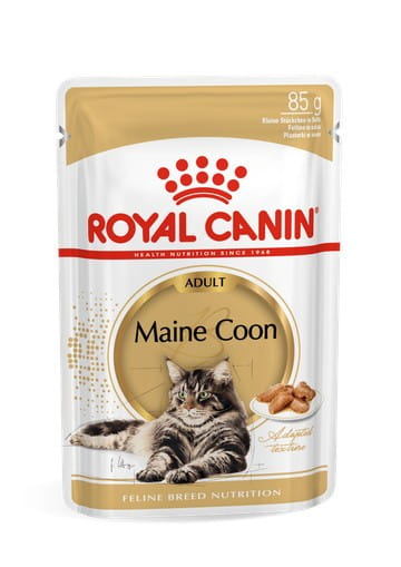 ROYAL CANIN Maine Coon - saszetka 12x85g