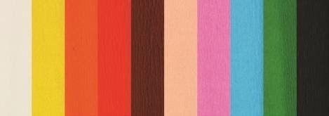 Bibuła krótka zestaw 1 10 kolorów FIORELLO