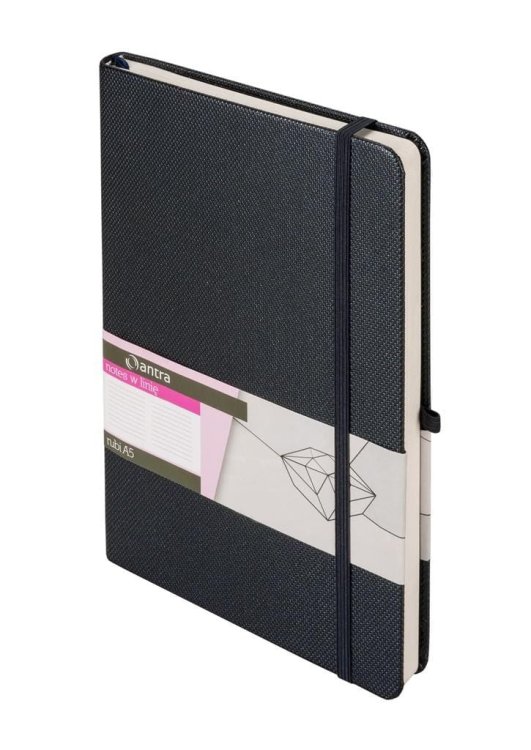Notes A5 Linia Rubi Szary w pudełku ANTRA