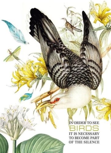 Notatnik ozdobny 165x238/80K kratka Ptak