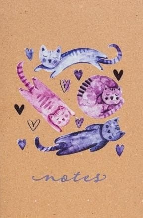 Notes Koty 01