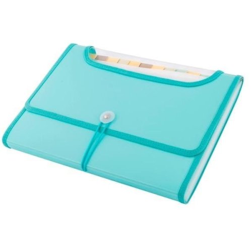 Teczka A4 12 przegródek miętowa D.RECT