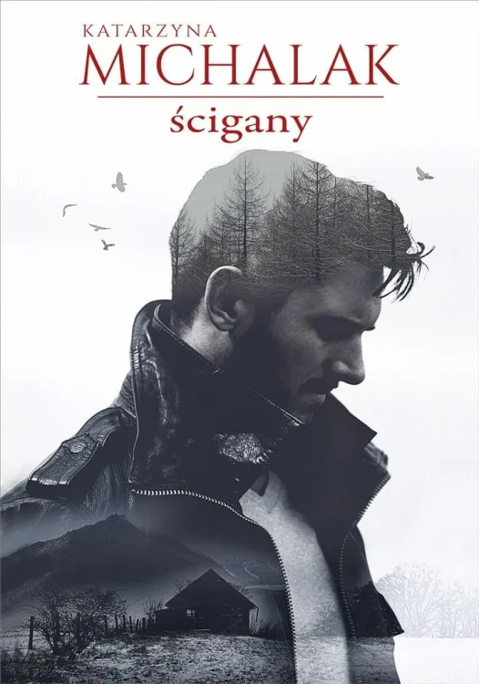 Ścigany w.2
