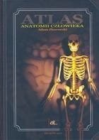 Atlas anatomii człowieka