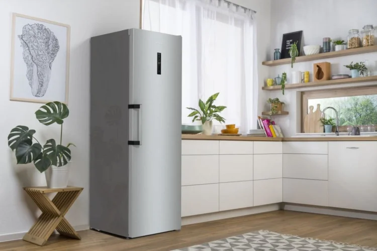 Chłodziarka GORENJE R619EAXL6