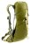 Plecak turystyczny Deuter AC Lite 16 linden-cactus