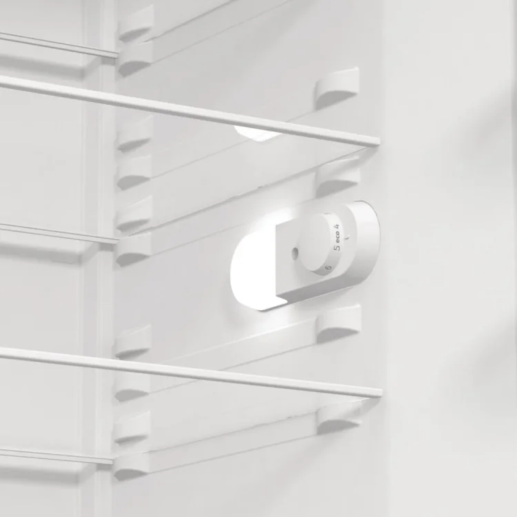 Chłodziarka GORENJE R619EEW5