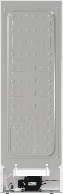 Chłodziarka GORENJE R619EEW5