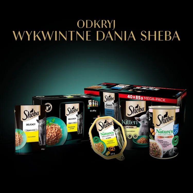 SHEBA Delicacy drobiowe smaki w galarecie- Drób - Mokra karma dla kota - 40x85g