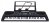 Keyboard dla dzieci 5+ Mikrofon Stojak na nuty USB MP3 Taktomierz - model nr 6159