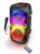 ESPERANZA GŁOŚNIK BT FM LED RGB KARAOKE SINGER EP156