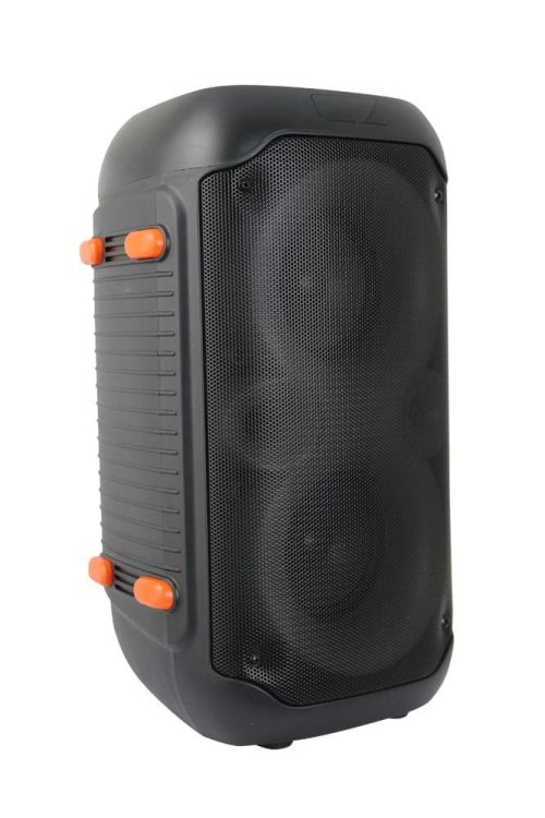 ESPERANZA GŁOŚNIK BT FM LED RGB KARAOKE SINGER EP156
