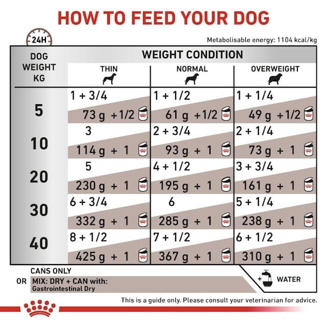 ROYAL CANIN VHN Dog Gastrointestinal Loaf 200g