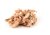 Fish4Cats Finest Makrela z Krewetkami 70g