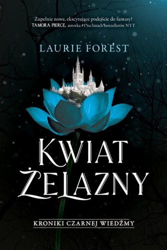 Kroniki Czarnej Wiedźmy T.2 Kwiat Żelazny
