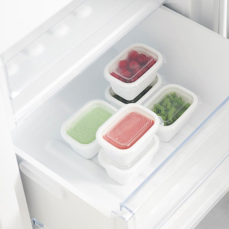 Rotho Freeze zestaw pojemników do mrożenia 6 x 0,25l