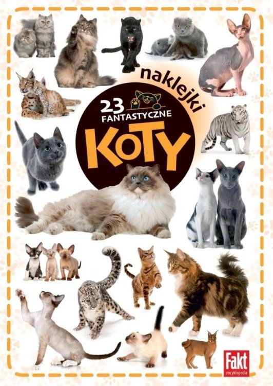 23 fantastyczne koty
