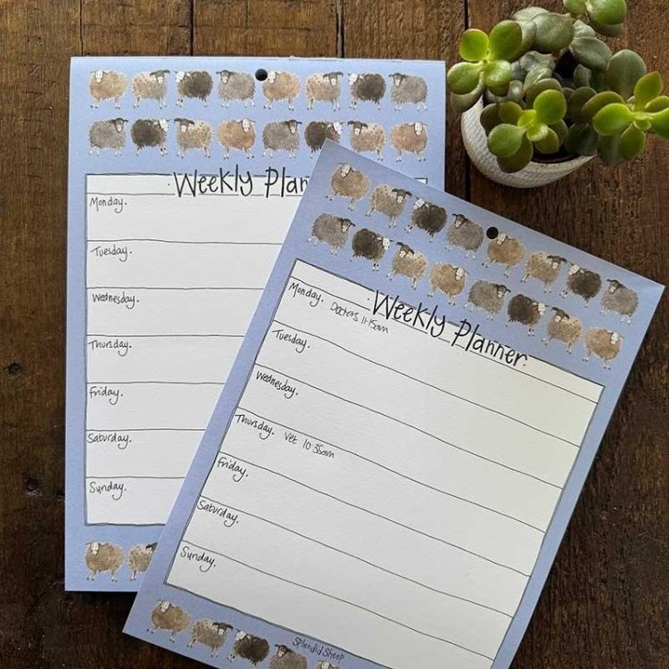 Tygodniowy planer A4/60K Owieczki