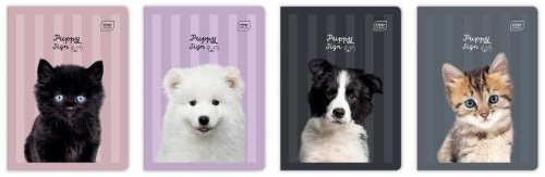 Zeszyt A5/32K 3kol linia 70g UV Puppy Sign (10szt)