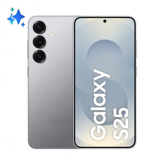 Samsung Galaxy S25 12/128GB Silver Shadow