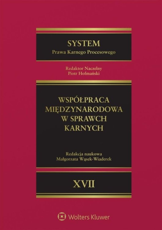 System Prawa Karnego Procesowego T.17