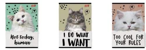 Zeszyt A5/32K linia dwukolorowa Caturday(15szt)