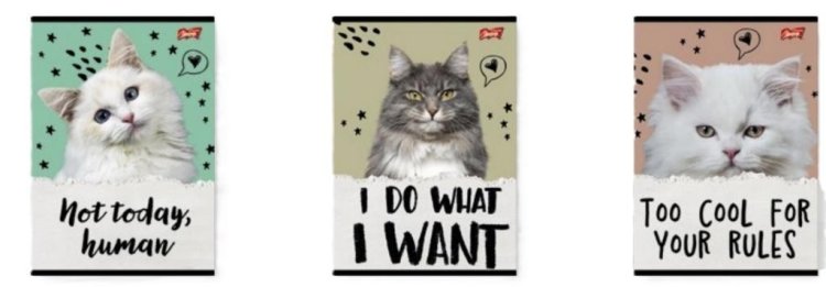 Zeszyt A5/32K linia dwukolorowa Caturday(15szt)