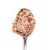 3Coty CHICKEN with hearts for Adult cats 80g
