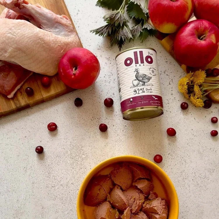 Ollo Pure Kaczka z Jabłkiem 400g