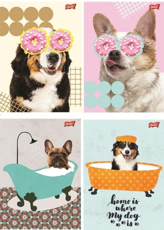 Zeszyt A5/60K kratka Funny Dog (10szt)