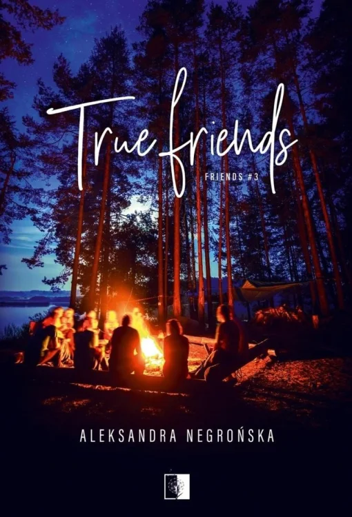 Friends T.3 True Friends pocket