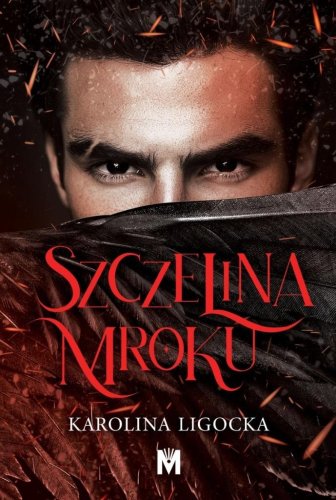 Szczelina mroku