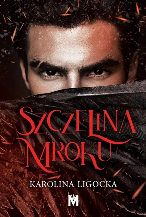 Szczelina mroku