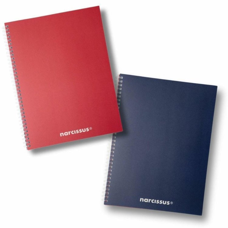 Kołonotatnik A5/80K kratka Swing Mono BG (3szt)