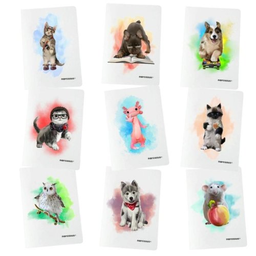 Zeszyt A5/32K kratka PP Joy (9szt) NARCISSUS